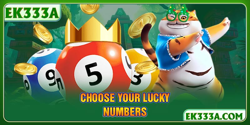 Choose your lucky numbers