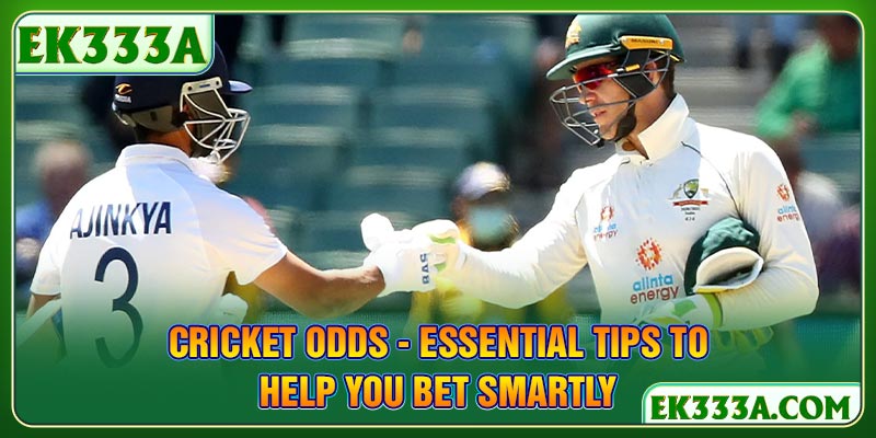 Cricket Odds - Essential Tips to Help You Bet Smartly